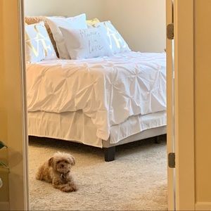 Meet your Posher, Diane